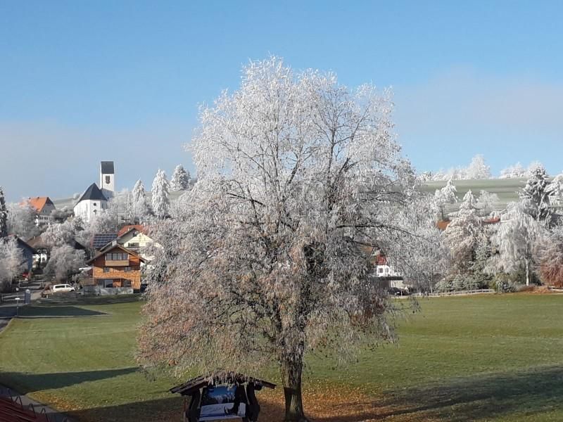 Blick auf Mittelberg