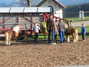 Galerie Kinder Ponyreiten