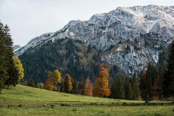 Hochtal Wankerfleck