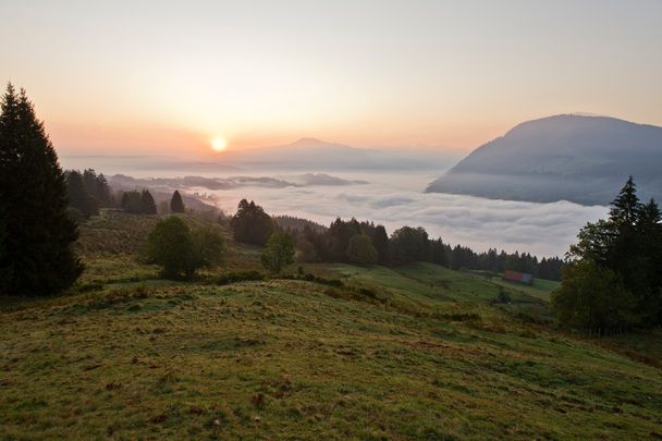 Obheiter über dem Alpsee