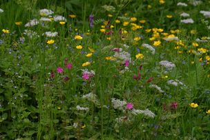 Naturpark Nagelfluhkette