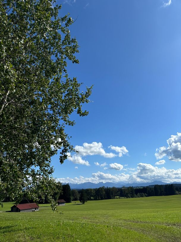 Geltnachrunde