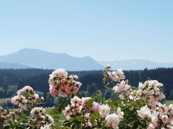 Aussicht Grünten