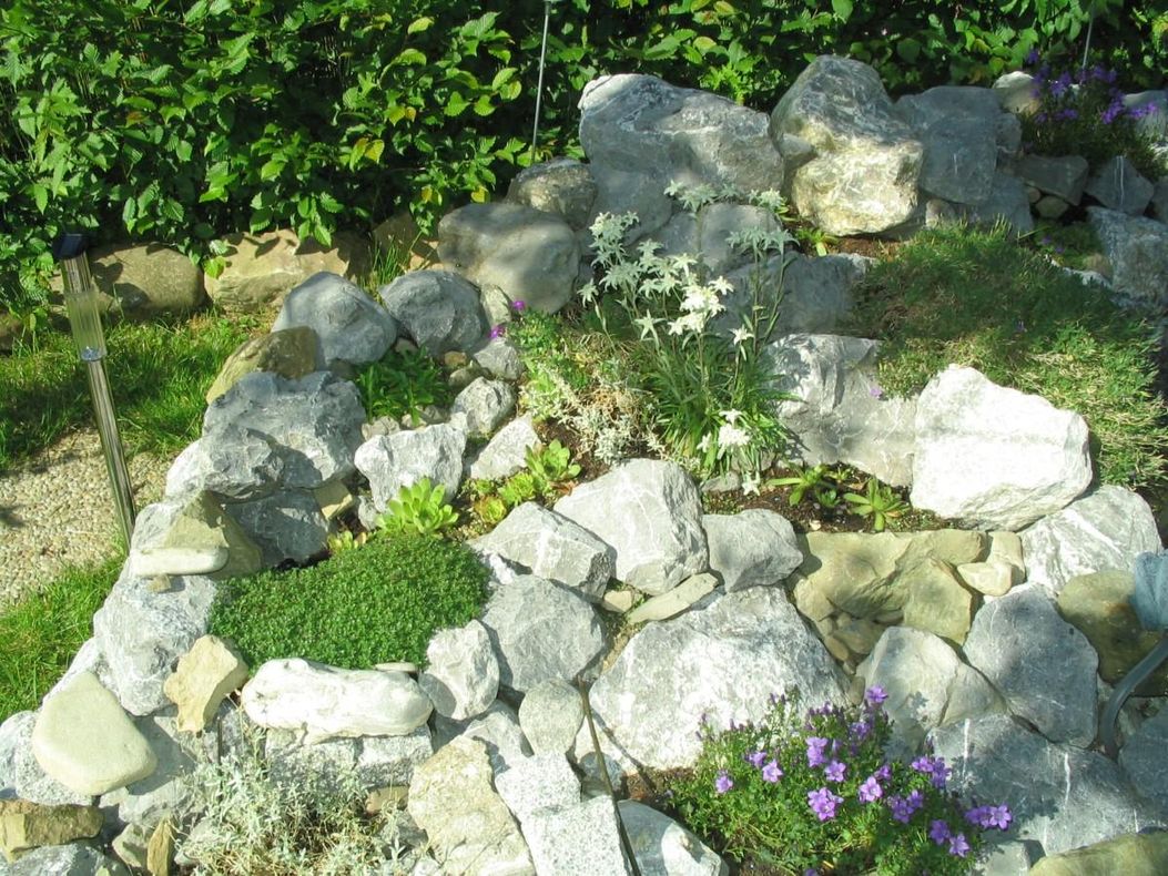 Bild vom Steingarten im Hof