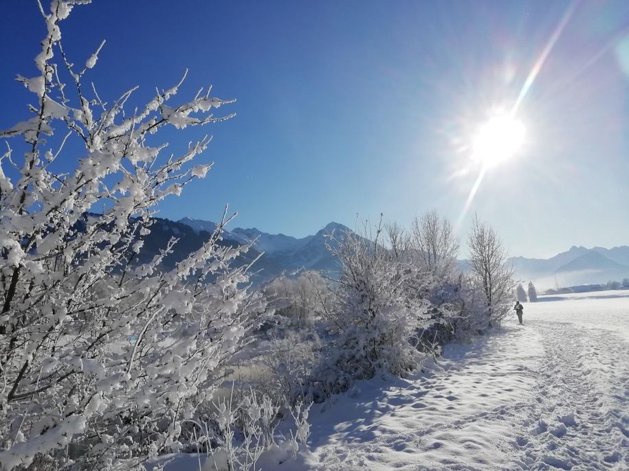 Winter 2023