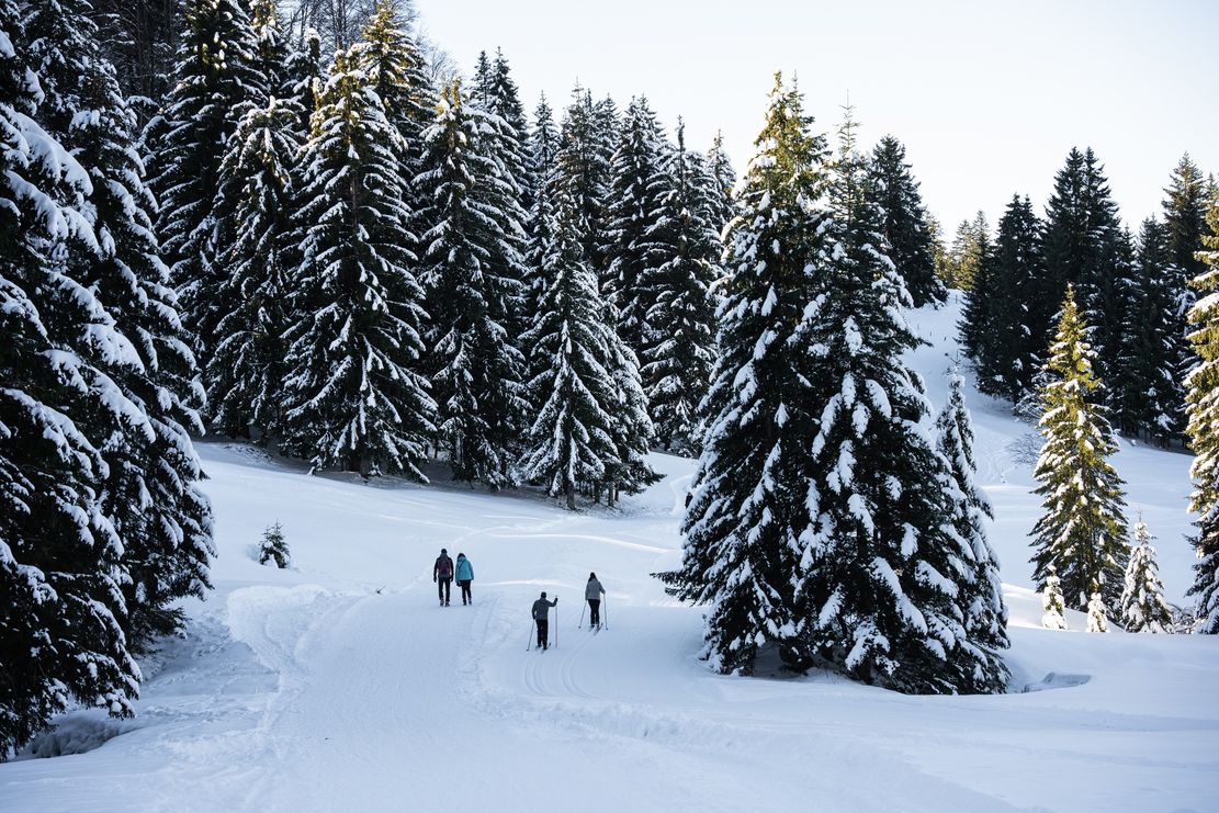 Unterwegs im Imberggebiet