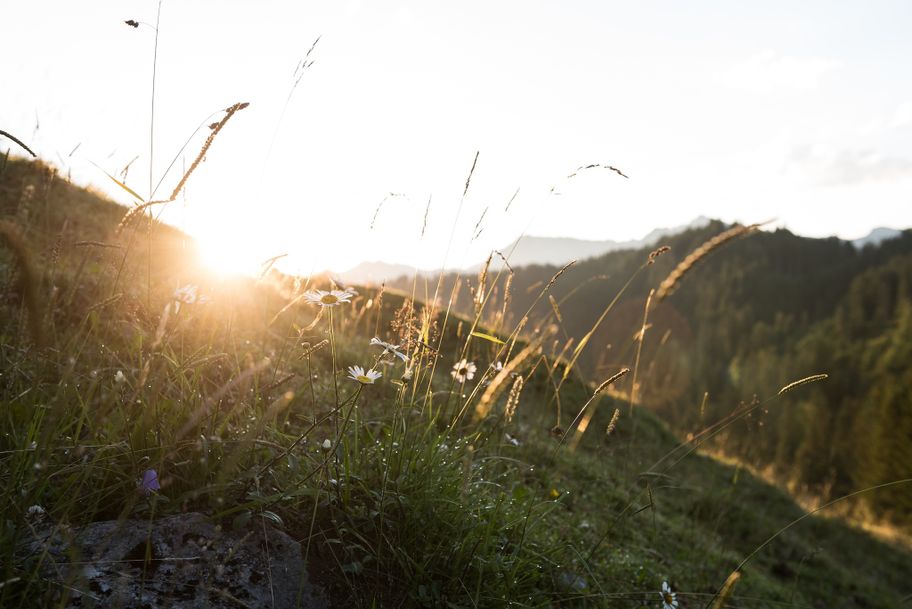 Bergsommer in den Allgäuer Hörnerdörfern
