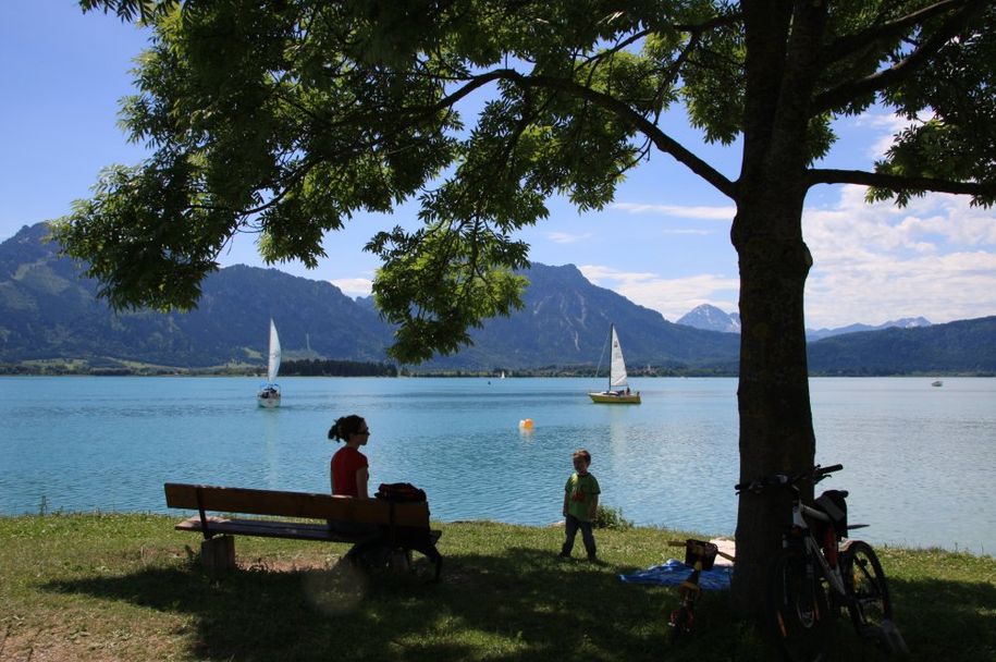 Am Forggensee