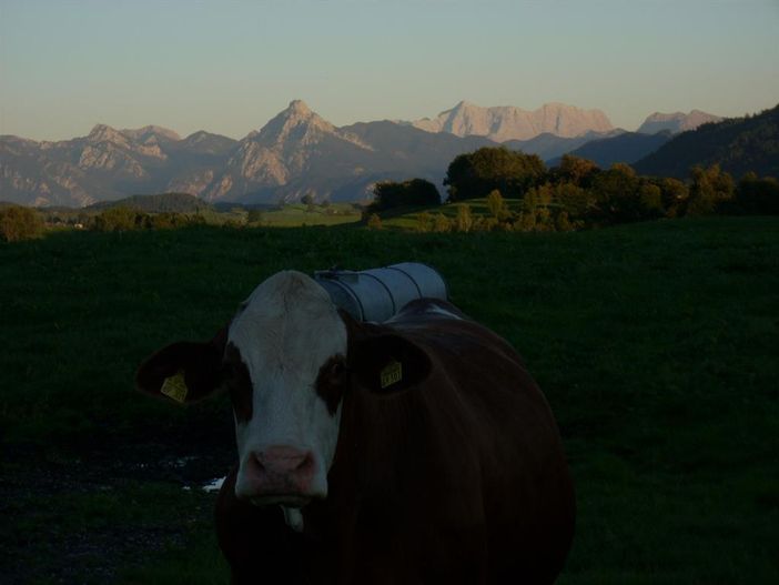 Panormablick