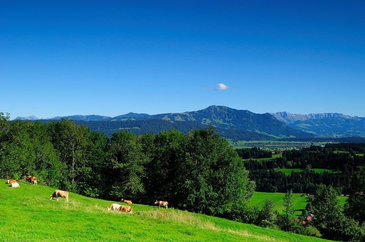 Ausblick vom Stoffelberg