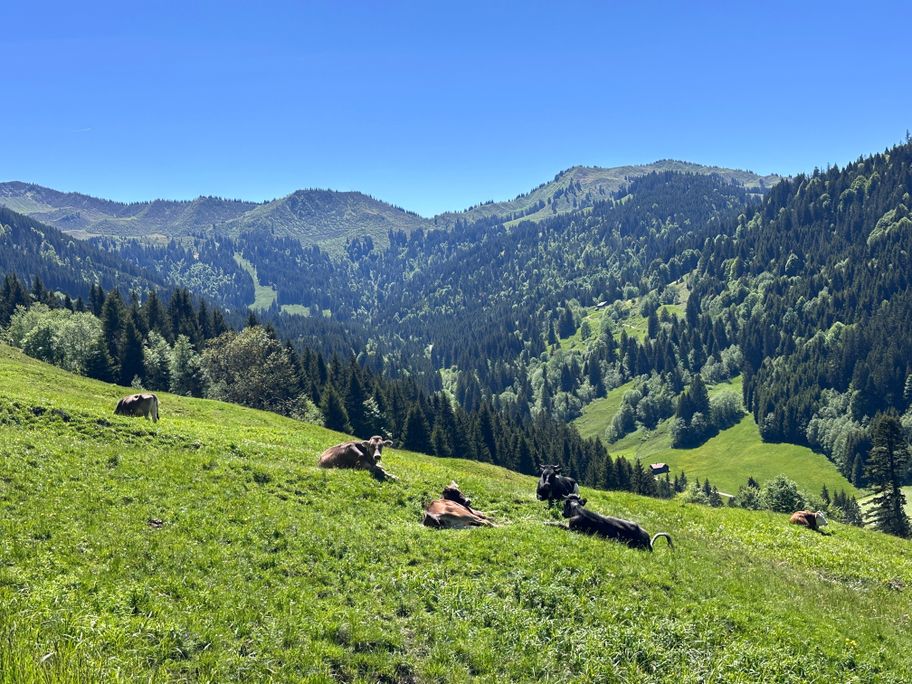 Oberhalb des Ostertals