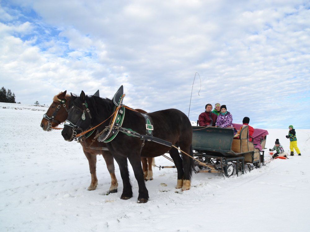 romantischeschlittenfahrt