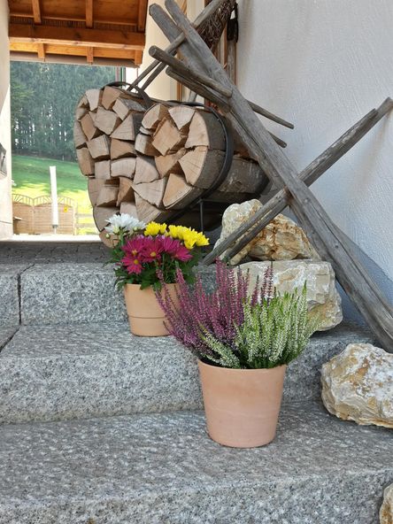 20180920_113851_Richtone(HDR)