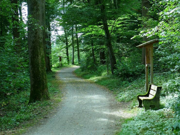 Walderlebnispfad Mindelheim