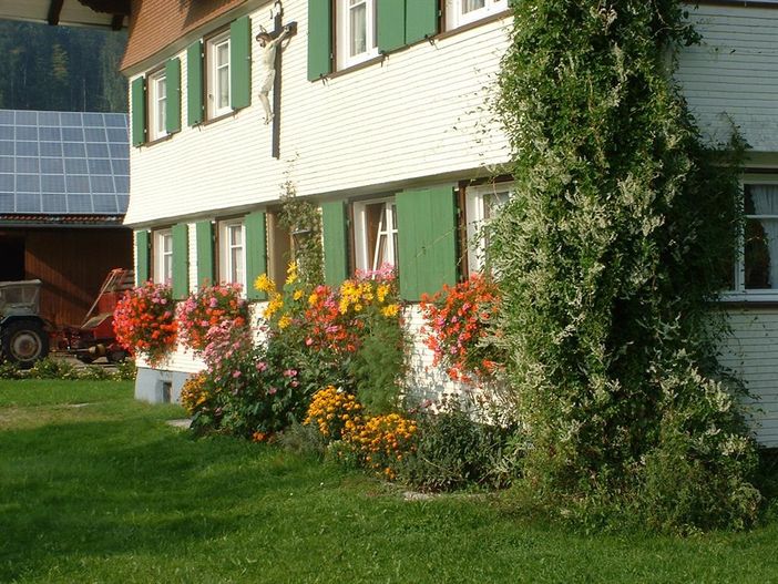 Blumenpracht
