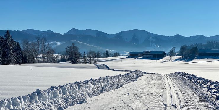 Langlaufloipe Stiefenhofen mit Blick zum Hochgrat