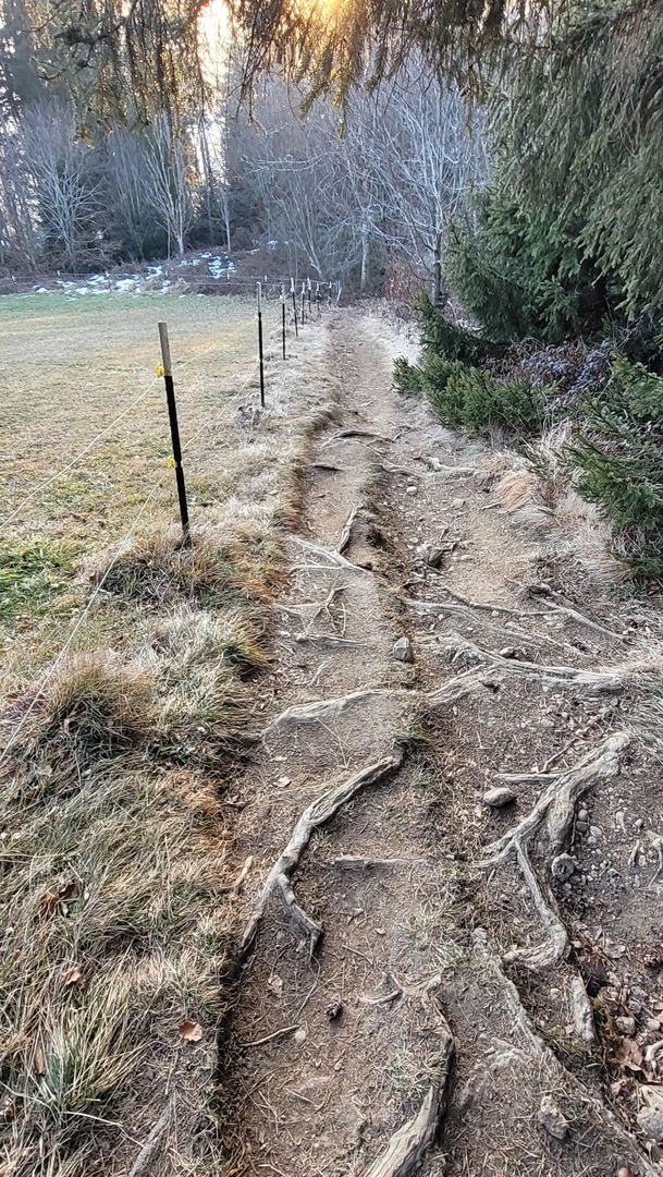 Römerweg auf den Auerberg