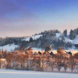 Bild 10