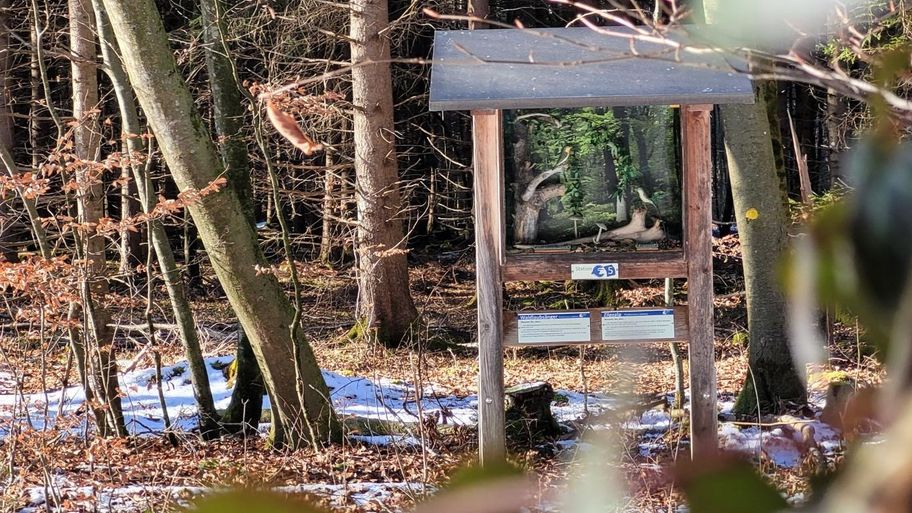 Vogellehrpfad Friesenried