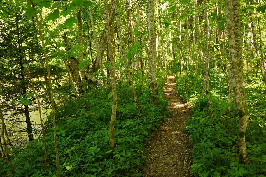Logenplatz Route - Natur genießen