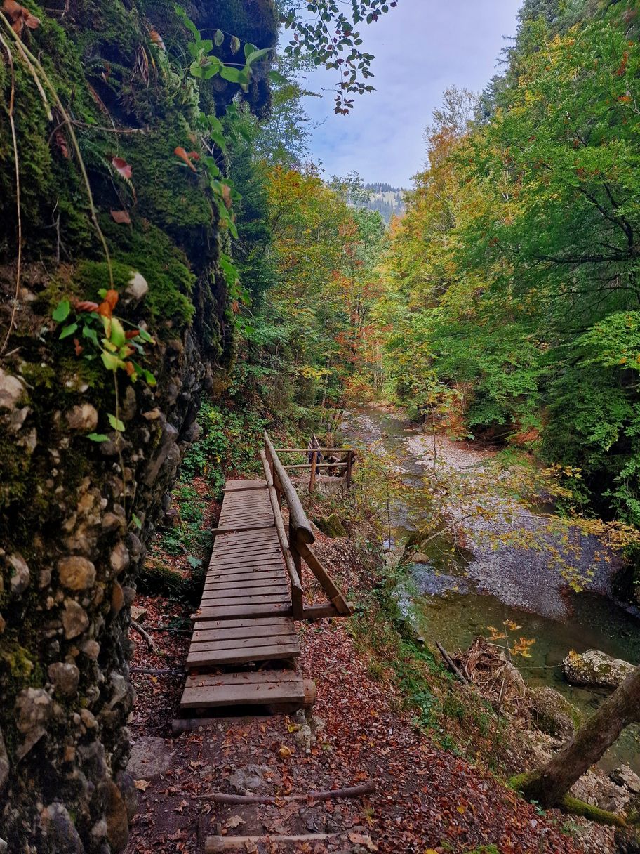 Durch den Ostertaltobel (Gunzesried-Säge)