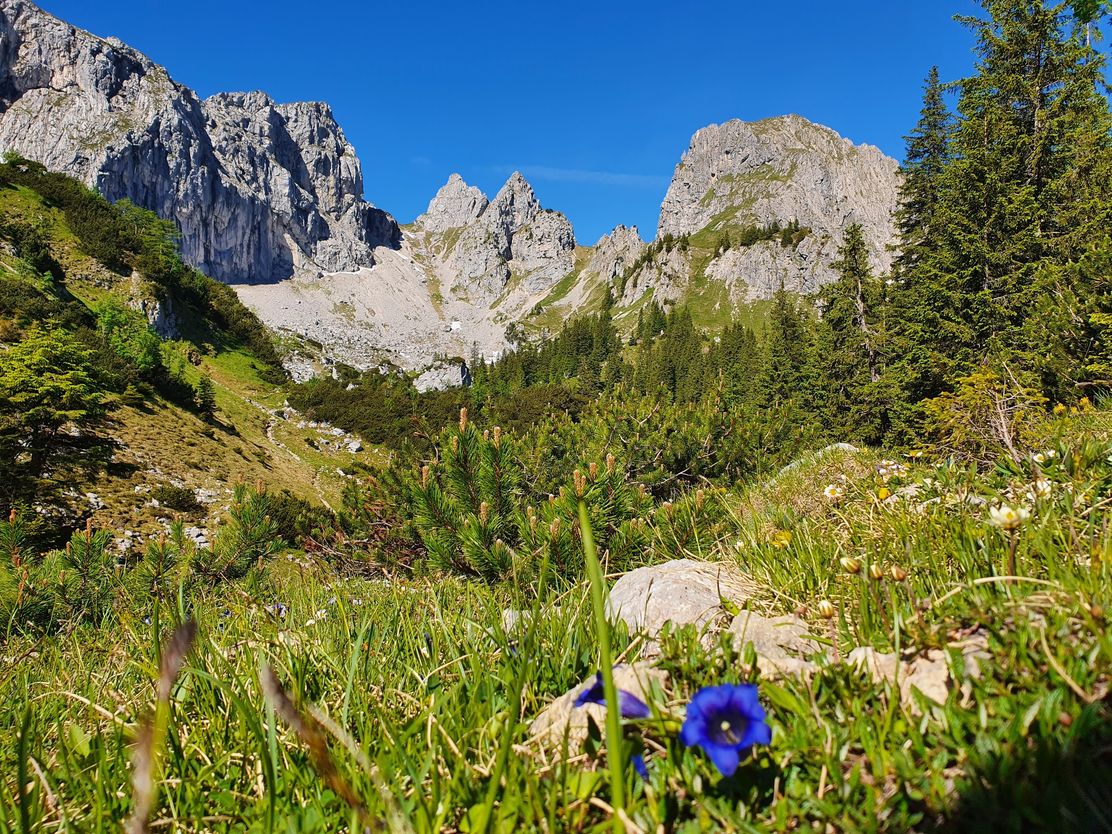 Blick auf die Hochplatte