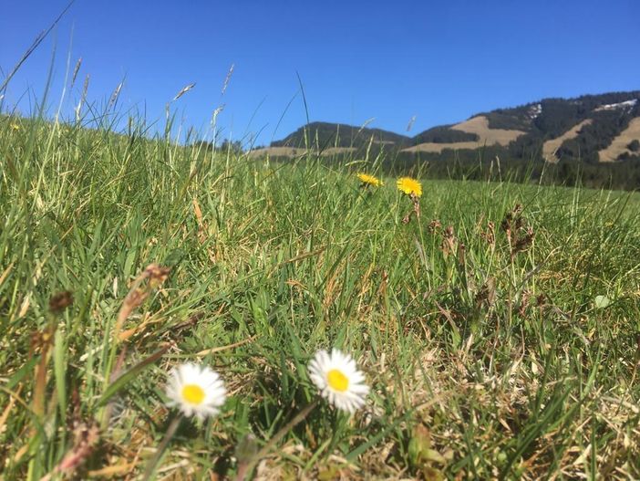 Fewo. Sunnesidde Blick zu den Sonnenköpfe