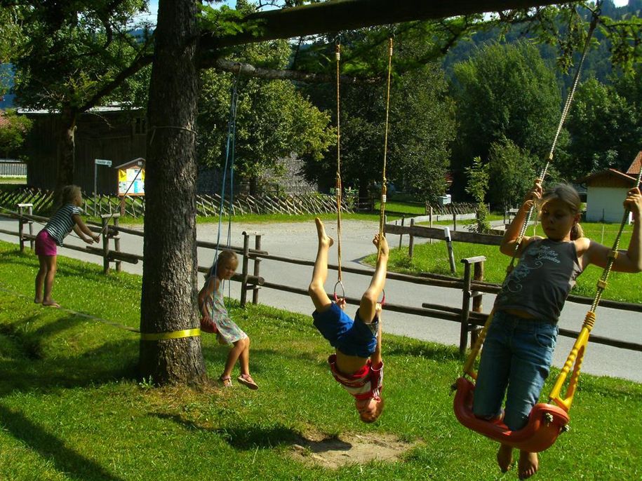 garden, playground