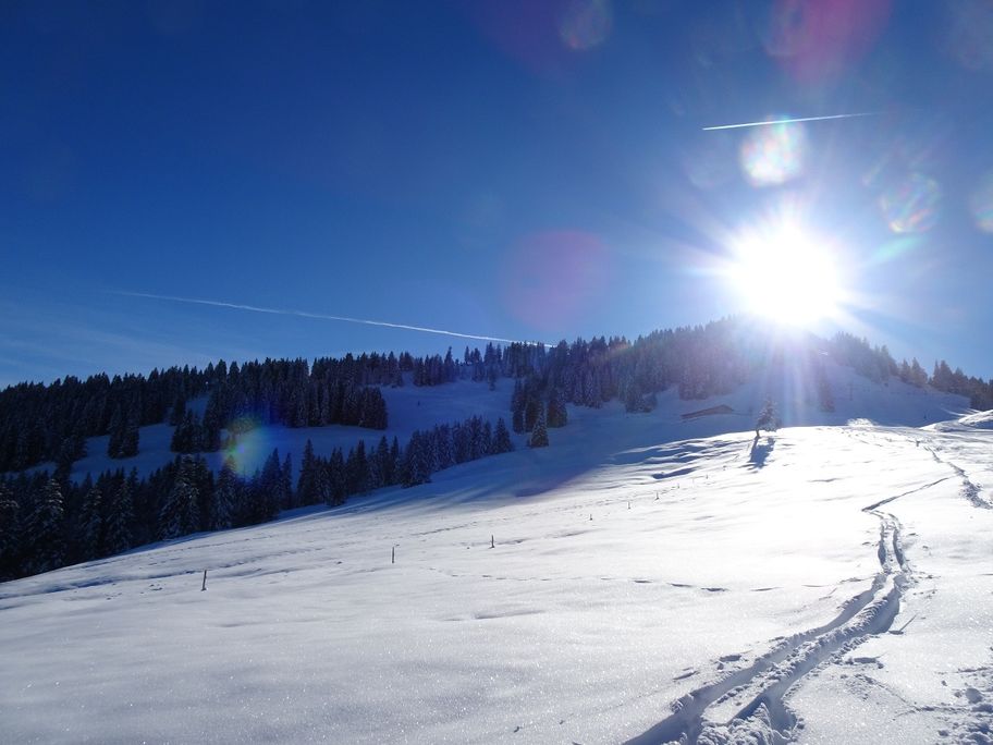 Naturpark Nagelfluhkette