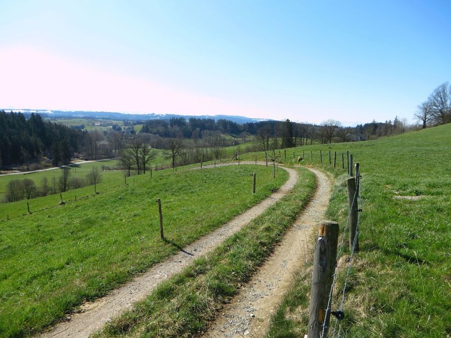 Allgäuer Weiden im Frühling