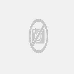 Bild 18