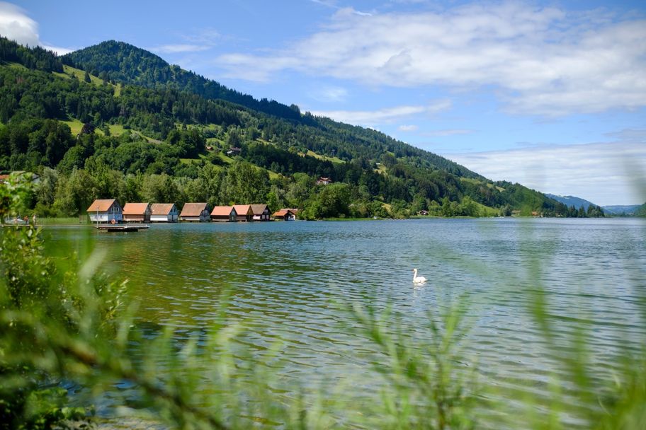 Großer Alpsee