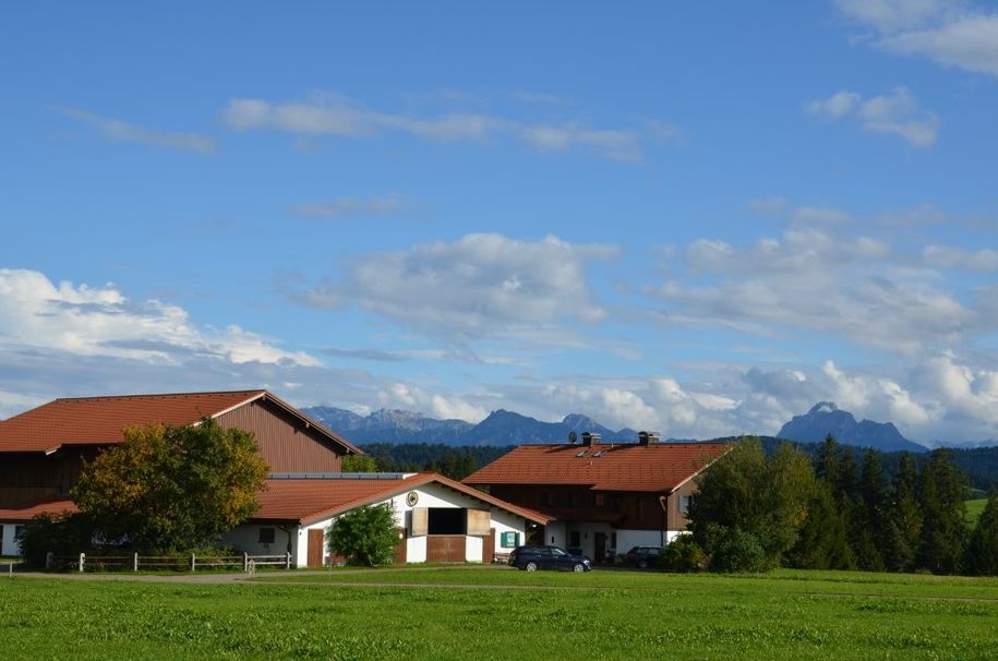 Mitten im Grünen