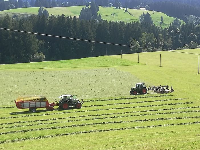 Bei der Ernte