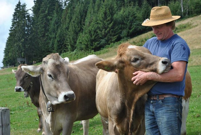 Farmer Sepp having a cuddle with his heifers