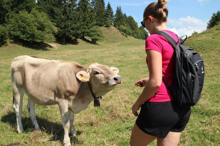 Wandern & die Natur genießen im Königswinkel