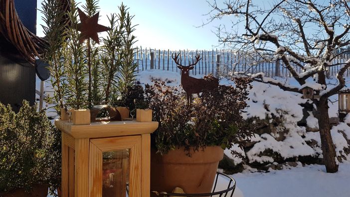 Rund ums Haus