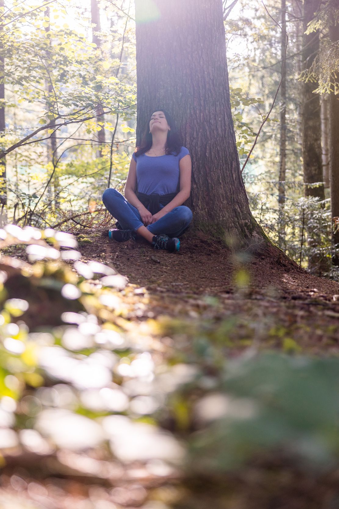 Kraftquelle Allgäu - Wald