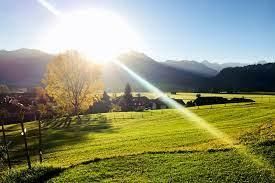Sonne und Wiesen