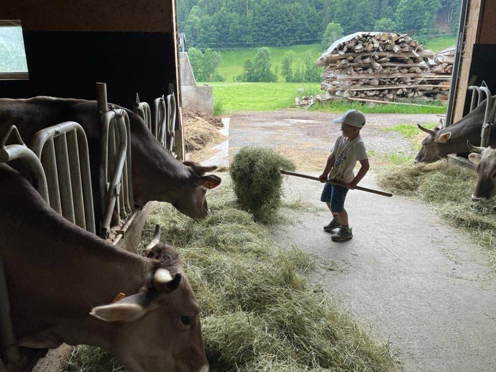 Fleißige Helferlein beim Füttern