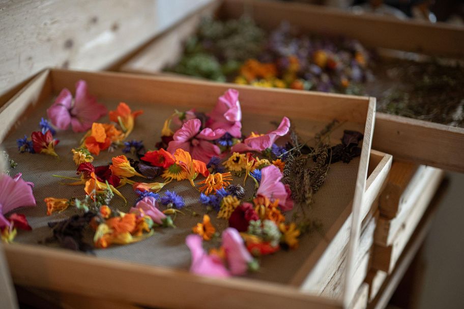 Die Kräuter werden getrocknet und dann verarbeitet