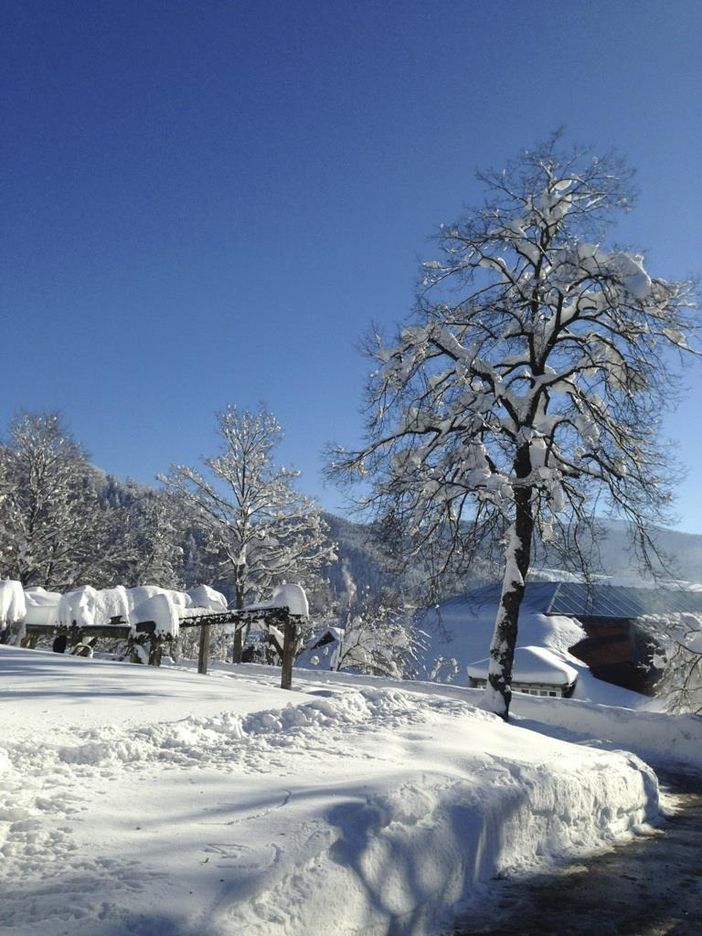 Winterstimmung