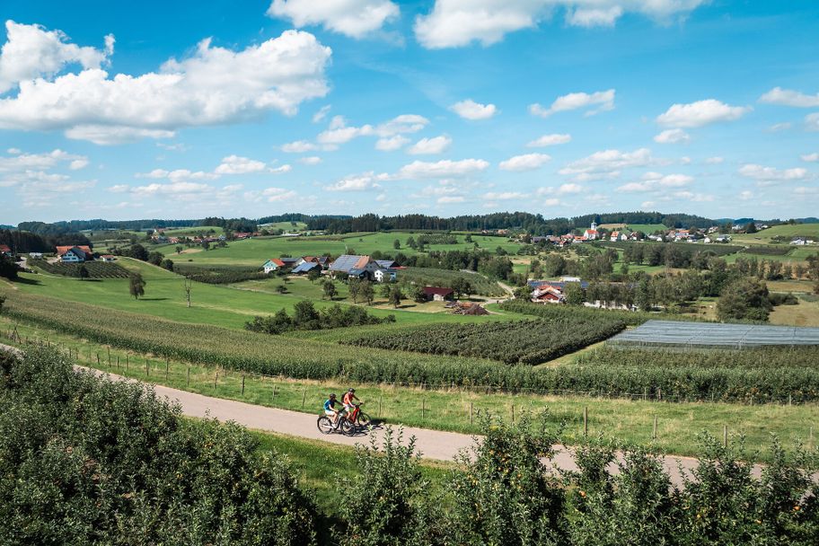 Landschaft rund um Bodolz an der Panorama-Radrunde