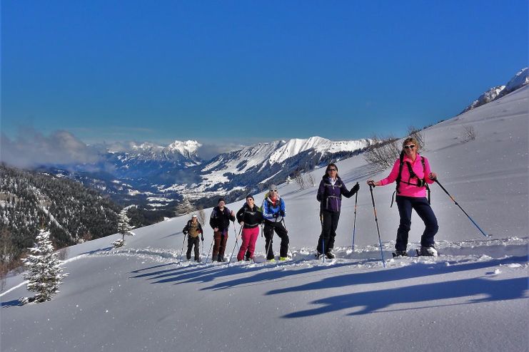 Staatlich geprüfter Berg- und Skiführer