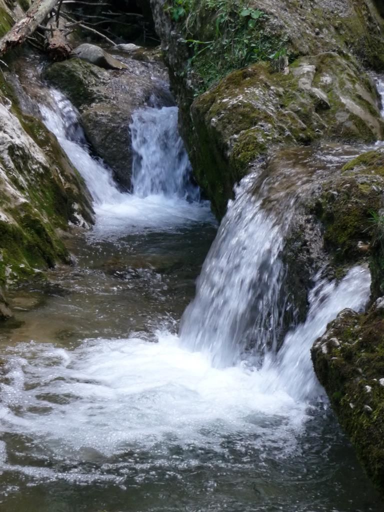 Steigbach  wildromantisch