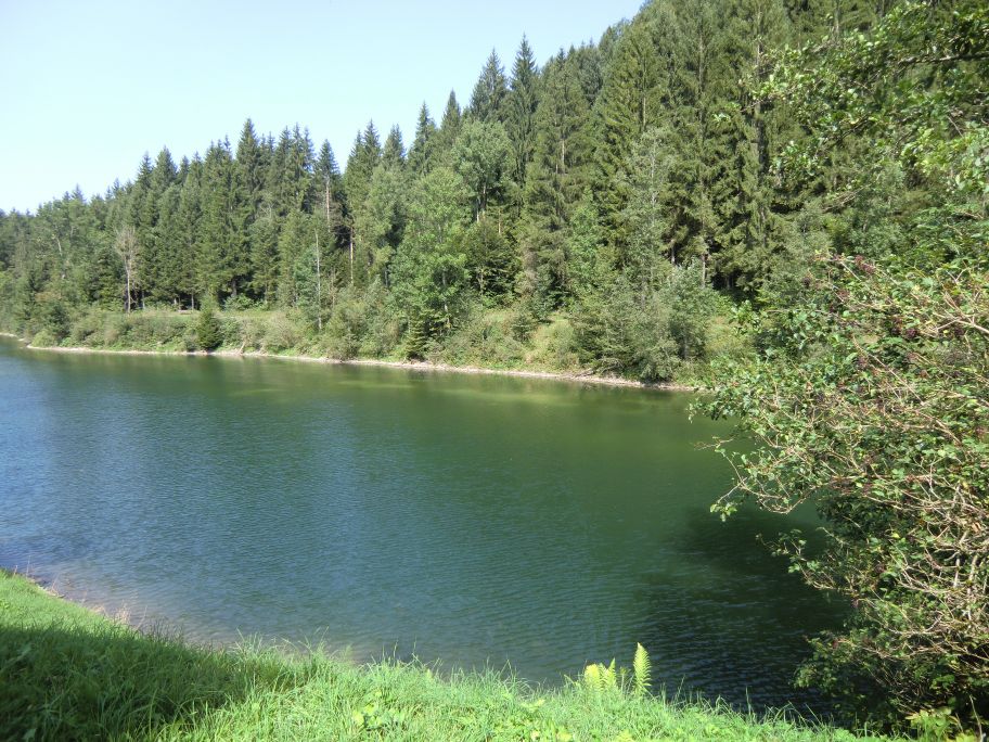 Auwaldsee