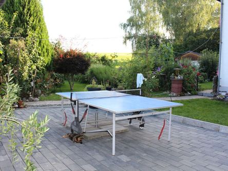 Lust auf ne Runde Tischtennis?