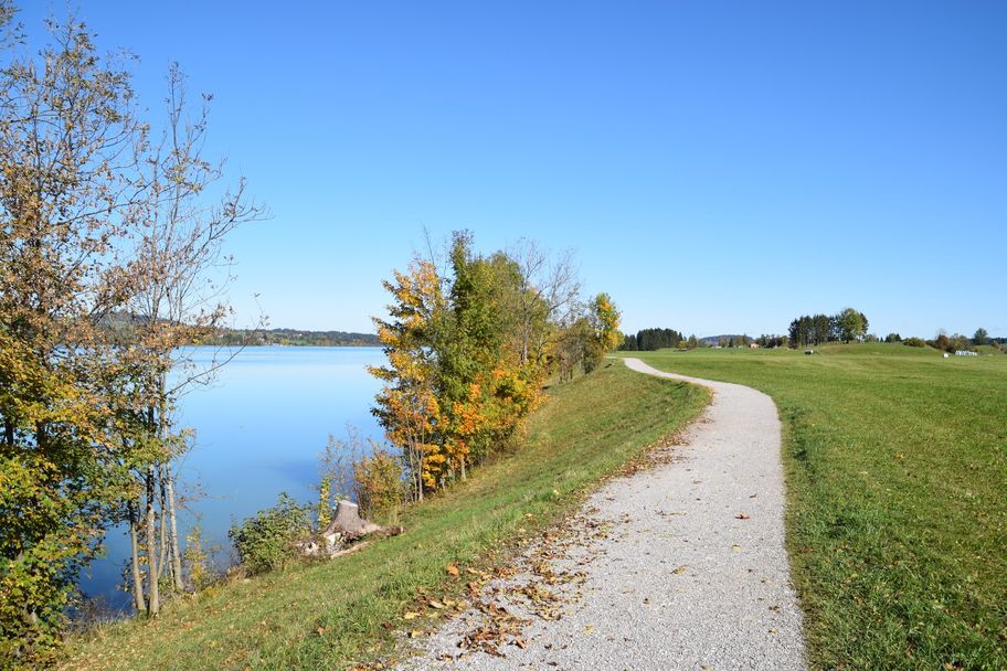 Spazierweg von Waltenhofen nach Brunnen