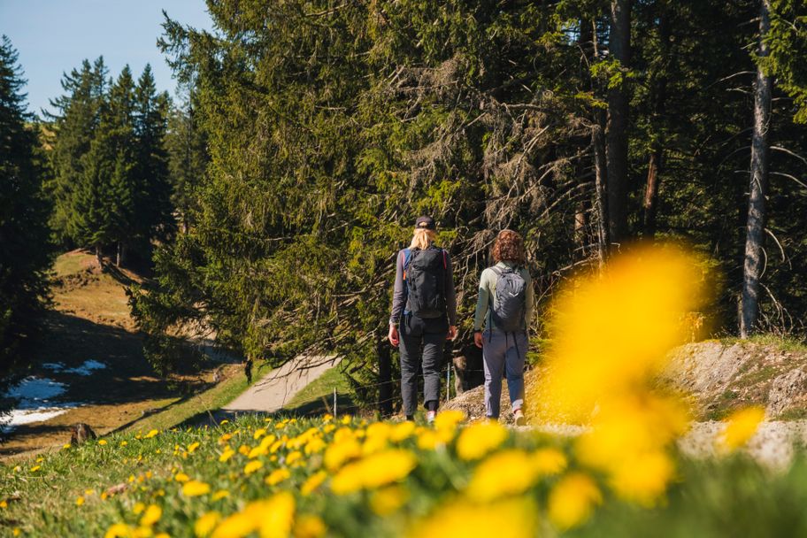 Mittagüberquerung über die Sennalpe Oberberg
