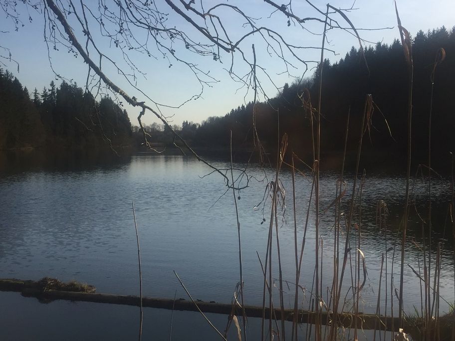 Gottratzhofener Stausee